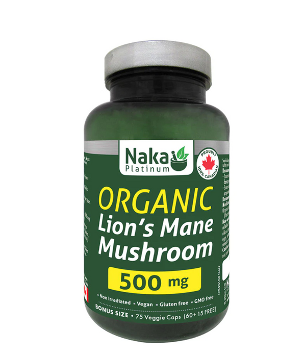 (Bonus Size) Platinum Organic Lion's Mane